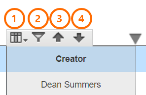 Report Display Filter Sort Options